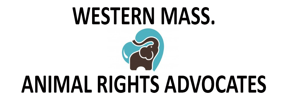 Western Mass. Animal Rights Advocates