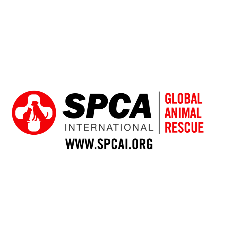 SPCA International