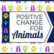 Positive Change for Animals