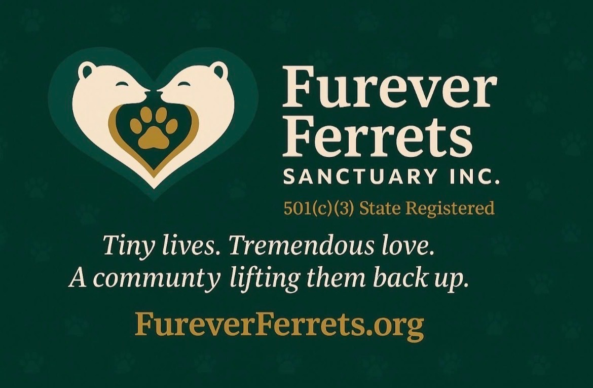 Furever Ferrets Sanctuary Inc.