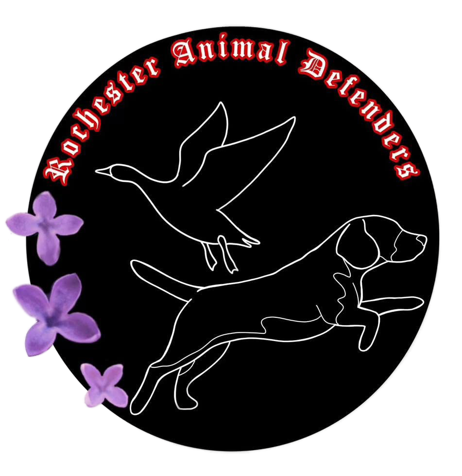 Rochester Animal Defenders